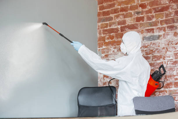 Best Mold Damage Restoration  in Hobart, IN